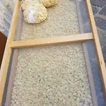 Διαμέρισμα Residenza Trevisani *